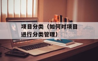 项目分类（如何对项目进行分类管理）