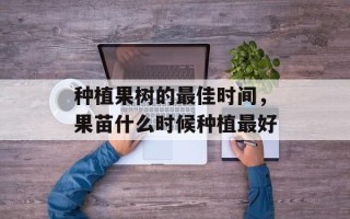 种植果树的最佳时间，果苗什么时候种植最好