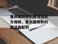 重庆酸辣粉的做法及配方视频，重庆酸辣粉的做法及配料