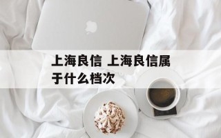 上海良信 上海良信属于什么档次