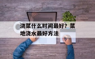 浇菜什么时间最好？菜地浇水最好方法