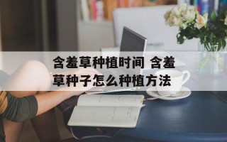 含羞草种植时间 含羞草种子怎么种植方法