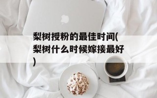 梨树授粉的最佳时间(梨树什么时候嫁接最好)