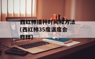 西红柿播种时间和方法(西红柿35度温度会咋样)