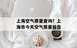 上海空气质量查询？上海市今天空气质量报告