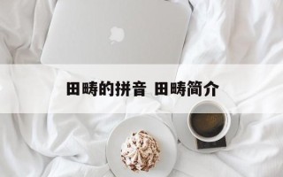 田畴的拼音 田畴简介
