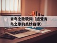青鸟之歌歌词（感受青鸟之歌的美妙旋律）