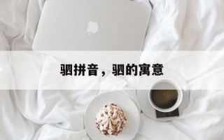 驷拼音，驷的寓意