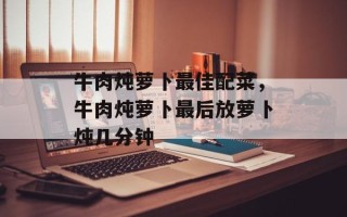 牛肉炖萝卜最佳配菜，牛肉炖萝卜最后放萝卜炖几分钟