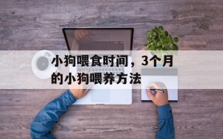 小狗喂食时间，3个月的小狗喂养方法