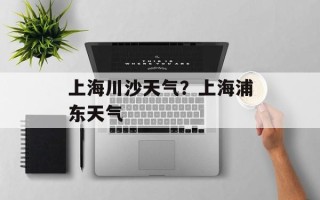 上海川沙天气？上海浦东天气