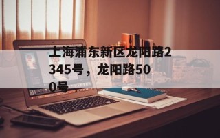 上海浦东新区龙阳路2345号，龙阳路500号