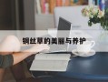 铜丝草的美丽与养护