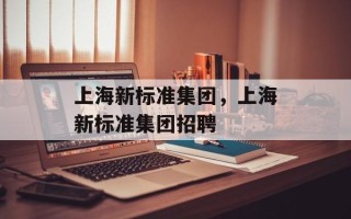上海新标准集团，上海新标准集团招聘