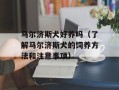 马尔济斯犬好养吗（了解马尔济斯犬的饲养方法和注意事项）