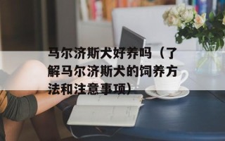 马尔济斯犬好养吗（了解马尔济斯犬的饲养方法和注意事项）