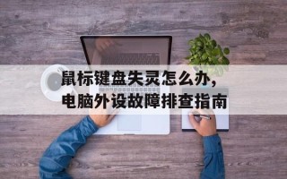 鼠标键盘失灵怎么办,电脑外设故障排查指南