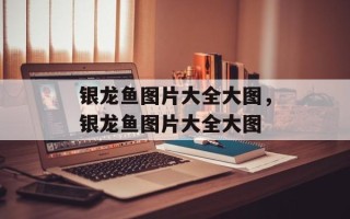 银龙鱼图片大全大图，银龙鱼图片大全大图
