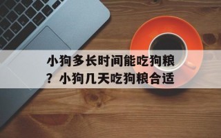 小狗多长时间能吃狗粮？小狗几天吃狗粮合适