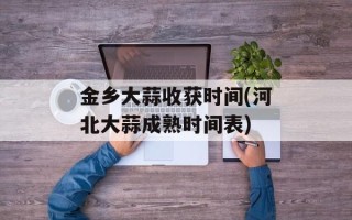 金乡大蒜收获时间(河北大蒜成熟时间表)