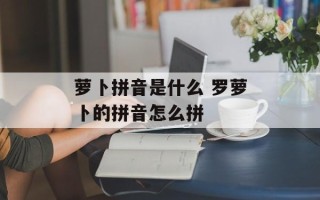 萝卜拼音是什么 罗萝卜的拼音怎么拼