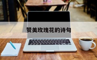 赞美玫瑰花的诗句