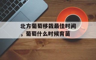 北方葡萄移栽最佳时间，葡萄什么时候育苗