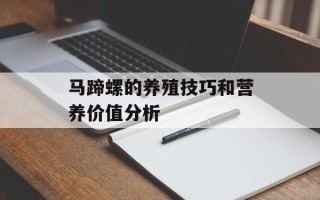 马蹄螺的养殖技巧和营养价值分析