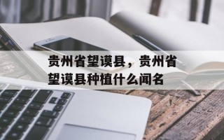 贵州省望谟县，贵州省望谟县种植什么闻名