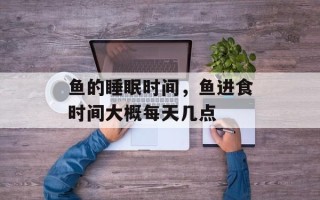 鱼的睡眠时间，鱼进食时间大概每天几点