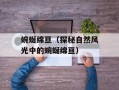 蜿蜒绵亘（探秘自然风光中的蜿蜒绵亘）