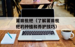 莆田枇杷（了解莆田枇杷的种植和养护技巧）