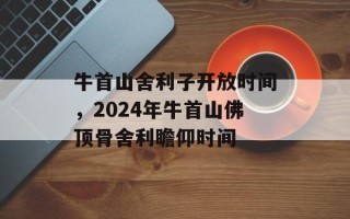 牛首山舍利子开放时间，2024年牛首山佛顶骨舍利瞻仰时间