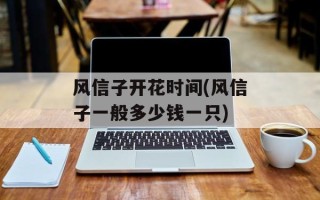 风信子开花时间(风信子一般多少钱一只)