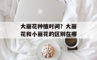 大丽花种植时间？大丽花和小丽花的区别在哪
