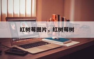 红树莓图片，红树莓树