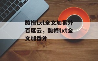 酸梅txt全文加番外百度云，酸梅txt全文加番外