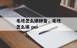 毛坯怎么读拼音，毛坯怎么读 pei