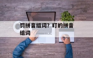 罚拼音组词？盯的拼音组词