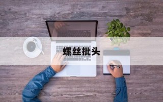 螺丝批头