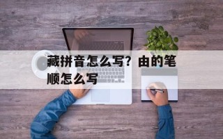 藏拼音怎么写？由的笔顺怎么写