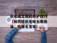 长毛哈士奇的养护技巧（如何给长毛哈士奇洗澡、梳理毛发等）
