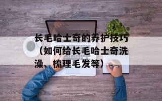长毛哈士奇的养护技巧（如何给长毛哈士奇洗澡、梳理毛发等）
