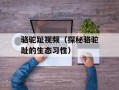骆驼趾视频（探秘骆驼趾的生态习性）