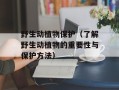 野生动植物保护（了解野生动植物的重要性与保护方法）