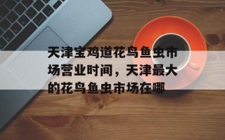 天津宝鸡道花鸟鱼虫市场营业时间，天津最大的花鸟鱼虫市场在哪