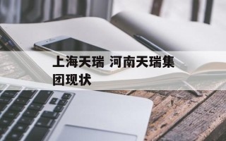 上海天瑞 河南天瑞集团现状