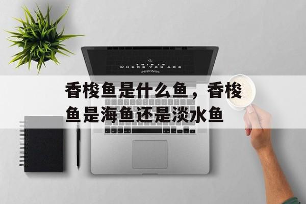 香梭鱼是什么鱼，香梭鱼是海鱼还是淡水鱼-第1张图片-