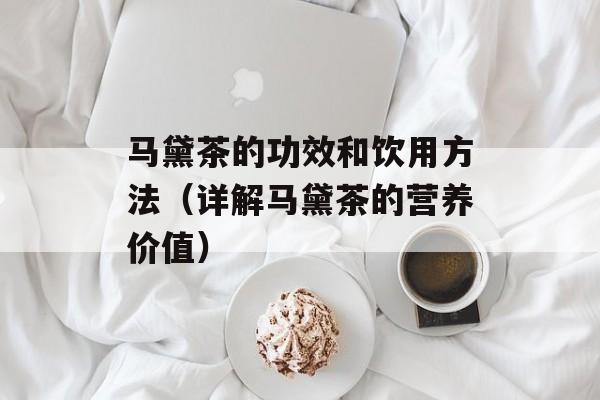 马黛茶的功效和饮用方法（详解马黛茶的营养价值）-第1张图片-