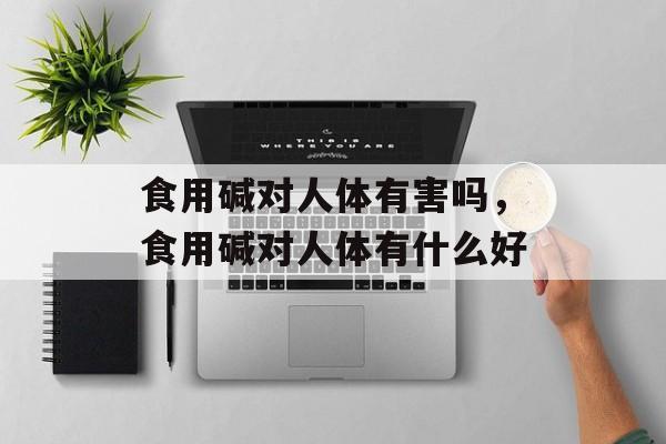 食用碱对人体有害吗，食用碱对人体有什么好-第1张图片-